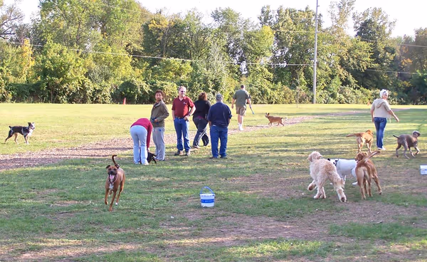 FIDO Dog Park photo 1